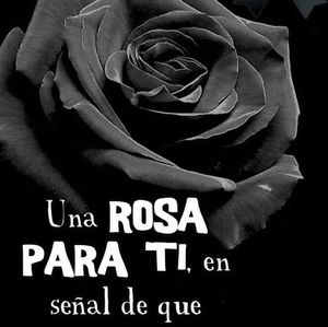 Meet your Posher, Eliud